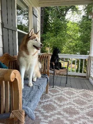 Maverick & Molly