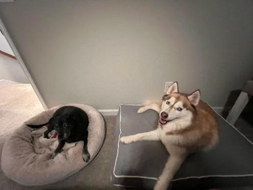 The two of them together